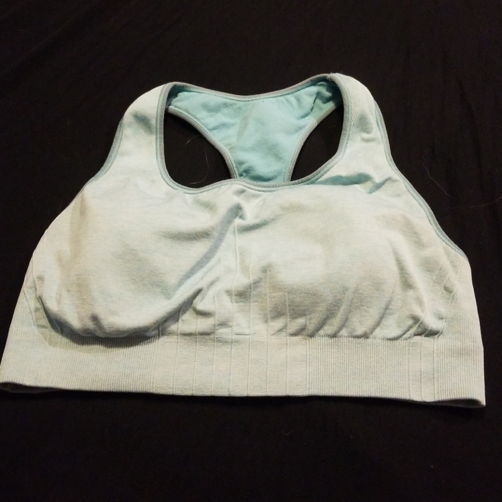 SkyBlue Champion Sports Bra